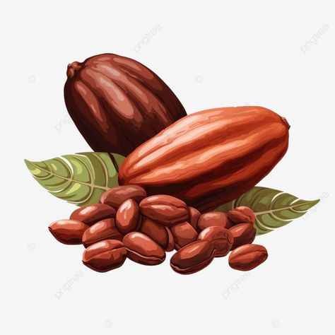 cacao cocoa beans png illustration Cocoa Bean Illustration, Cocoa Illustration, Png Illustration, Cocoa Beans, Ad Illustration, Cacao Beans, Flyer Ideas, Background Drawing, Transparent Image