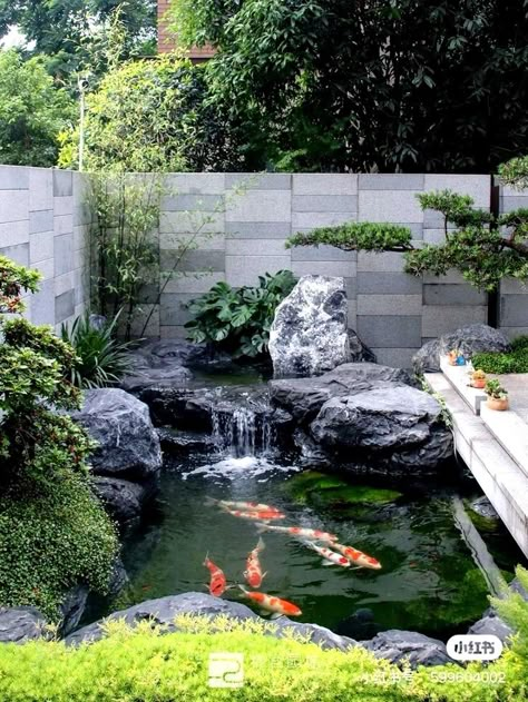 Japanese Fish Pond, Waterfall Koi Pond, Small Koi Pond Ideas, Garden Ponds Ideas, Japanese Koi Pond, Japanese Pond, Japanese Backyard, Fish Ponds Backyard, Ponds Ideas