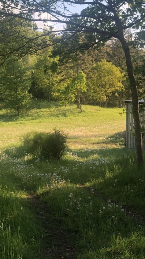 Forever in our folklore era... #folklore #dressinspo #outfitinspo Field Surrounded By Trees, Grass Meadow Aesthetic, Grass Asethic, Green Fields Aesthetic, Summer Meadow Aesthetic, Summer Grass Aesthetic, Green Meadow Aesthetic, Grassy Field Aesthetic, Green Field Aesthetic