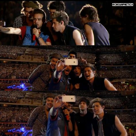 1d Shifting, Where We Are Tour, Niall And Harry, One Direction Concert, One Direction Photos, One Direction Pictures, I Love One Direction, 1 Direction, Great Team