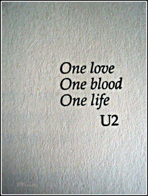 U2 U2 Quotes, U2 Poster, U2 Lyrics, U2 Band, Life Meaning, Fan Tattoo, Lyrics To Live By, Adam Clayton, Beautiful Days