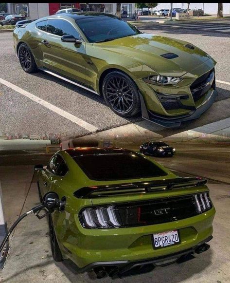 Green Mustang, Shelby Gt 500, Mustang Gt500, Luxury Car Brands, Lamborghini Murcielago, Ford Mustang Car, 4 By 4, Toyota 4, Vw T1