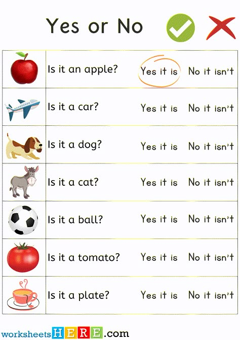 Questions For Kindergarteners, Yes Or No Worksheet For Kindergarten, Can Questions Worksheet, Question Answer Games Fun, Yes Or No Questions For Kids, Yes No Questions Worksheet, Yes Or No Picture, Yes And No Questions, Grammar In English