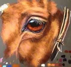 Realistic Eye Drawing, Horse Artwork, Equestrian Art, Horse Drawing, Eye Painting, Horse Drawings, Chalk Pastels, Equine Art, Arte Animal