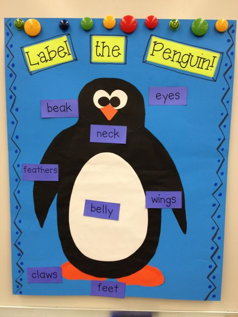 Penguins Kindergarten, January Centers, Penguin Preschool, Arctic Animals Preschool, Penguin Unit, Antarctic Animals, Penguin Activities, Penguin Day, January Classroom