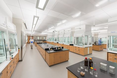 Physics Lab, School Building Design, Laboratory Design, Chemistry Lab, Biology Labs, School Interior, Chemistry Labs, Yale University, Space Interiors