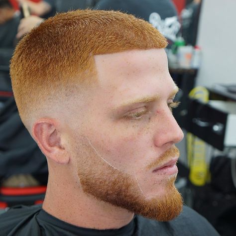 Butch Haircuts, Ginger Hair Men, Buzz Haircut, Popular Short Haircuts, Redhead Men, Buzz Cuts, Red Beard, Tapered Haircut, Men's Short Hair