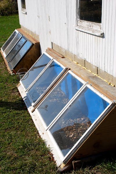 Chicken solarium attached to chicken coop with sand to radiate heat back into the house in winter Winter Building, Reban Ayam, House In Winter, Chicken Barn, Mini Serre, Portable Chicken Coop, Backyard Greenhouse, Building A Chicken Coop, Greenhouse Plans