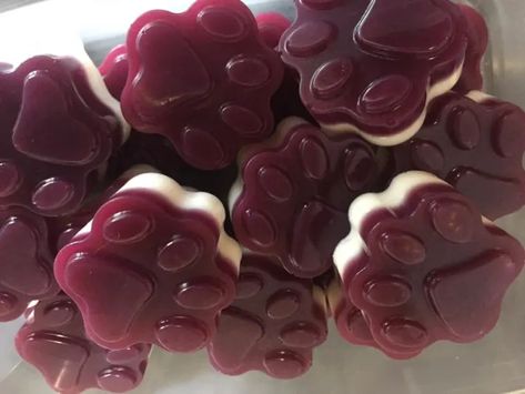 Dog Gummies, How To Make Gummies, Blueberry Dog Treat Recipe, Dog Training Treats Recipe, Pet Treats Recipes, Easy Dog Treat Recipes, Make Dog Food, Diy Dog Food, Frozen Dog Treats