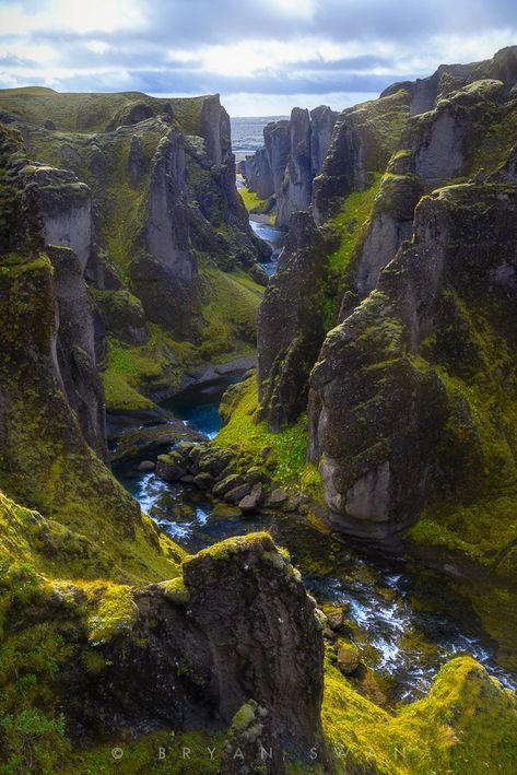 Fjaðrárgljúfur, The Most Beautiful Canyon in the World Iceland Photography, Iceland Travel, Alam Yang Indah, Pretty Places, Places Around The World, Phone Wallpapers, Amazing Nature, Natural Wonders, Travel Dreams