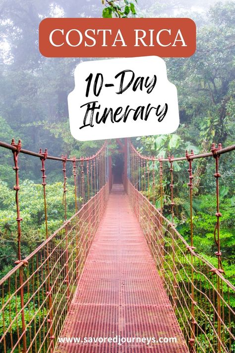 The Perfect Costa Rica 10-Day Itinerary: Embark on an adventure through Costa Rica's diverse landscapes and rich biodiversity with our meticulously planned 10-day travel guide! 🌿 #CostaRicaAdventure Best Costa Rica Itinerary, Costa Rica Itinerary Two Weeks, 10 Day Costa Rica Itinerary, Costa Rica Itinerary 10 Days, Visiting Costa Rica, Costa Rica Itinerary, Costa Rica Wildlife, 10 Day Itinerary, Costa Rica Adventures