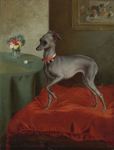 Italian Greyhound Art, Italian Greyhound Dog, Greyhound Art, Red Cushion, Julius Caesar, Grey Hound Dog, Red Cushions, Dog Images, Italian Greyhound