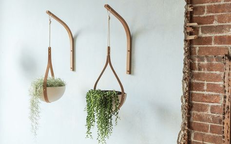 Object of Desire: Bentwood Hanging Planters from UK Designer Tom Raffield - Gardenista Indoor Planting, Tom Raffield, Planters Indoor, Plant Bracket, Brass Wall Hook, Hanging Planters Indoor, Small Wall Hangings, Hanging Plants Indoor, Ceiling Hanging