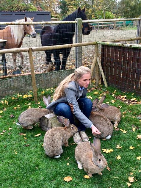 Keeping Rabbits, Rabbit Aesthetic, Rabbit Enclosure, Rabbit Habitat, Rabbit Farm, Giant Rabbit, Raising Rabbits, Pet Bunny Rabbits, Rabbit Breeds