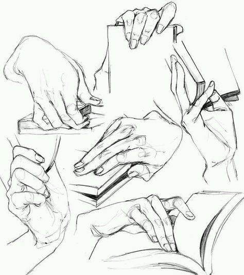 Cầm sách Draw Hands, Hand Drawing Reference, Anatomy Sketches, Hand Reference, Poses References, Hand Sketch, Anatomy Drawing, Figure Drawing Reference, Anatomy Art