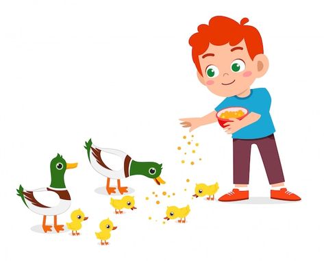 Happy cute boy feeding cute duck | Premium Vector #Freepik #vector #cute-boy #boy-girl #cute-people #kids-cartoon Duck Eating Bread, Daily Routine Activities, Animated Clipart, Learning Languages Tips, Duck Cartoon, Vector Food, Pet Vet, Cute Duck, Shop Illustration