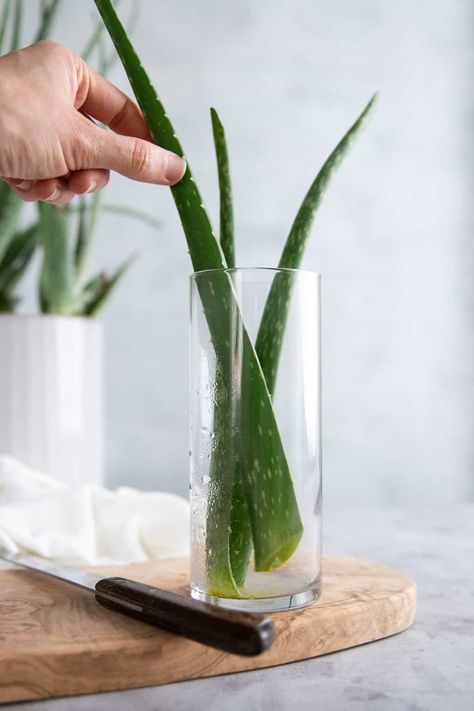 How to Harvest Aloe Vera Gel + Keep It Fresh Longer - Hello Glow How To Make Aloe Vera Gel At Home, Aloe Vera In Water, How To Store Fresh Aloe Vera Gel, Storing Aloe Vera Gel, Aloe Harvesting, How To Get Aloe Gel From Plant, How To Preserve Aloe Vera Gel, How To Prepare Aloe Vera To Eat, How To Harvest Aloe Vera Gel