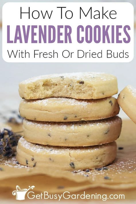 Have you ever had a craving for lavender cookies? These homemade cookies are decadent with subtle notes of lavender. These are made with a few common ingredients and a few simple steps. I also share tips so that baking these is easy for you as well as a few variations to the recipe that you may enjoy. If you like cookies that literally melt in your mouth, this recipe is for you. Recipes Using Lavender Buds, Lavender Sugar Recipe, Lavender Vanilla Cookies, Recipes With Fresh Lavender, Recipes With Lavender Buds, Culinary Lavender Recipes, Lavender Food Recipes, Lavender Baked Goods, Lavender Recipes Baking