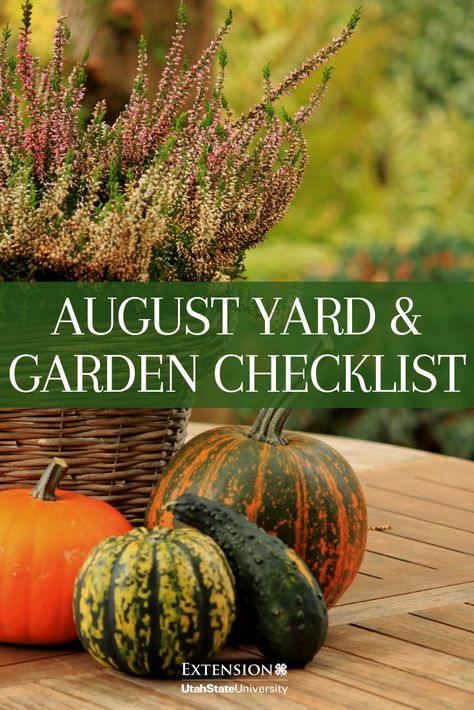 Tips for your yard & garden in August! #livewellutah Codling Moth, Garden Checklist, Squash Bugs, Squash Plant, Honey Locust, Annual Flowers, Yard Work, Late Summer, Living Well