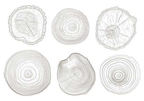 Tree Ring Vectrs Infographic Creative Design, Ring Vector, Tree Logo Design, Tree Ring, Vector Trees, Tree Logos, Tree Rings, Photo Collage Template, Round Logo