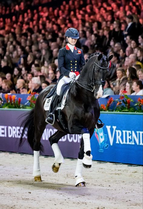 Lord Leatherdale x Negro Lottie Fry, Dream Horse, Black Stallion, Horse Aesthetic, Dressage Horses, Equestrian Sports, Sport Horse, Equestrian Style, Horse Rider