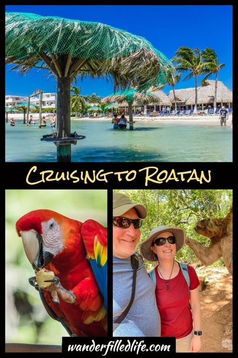 Cruise Food, Cruise Ports, Roatan Honduras, Passport Travel, Cruise Excursions, Roatan, Cruise Destinations, Cruise Port, Cruise Tips