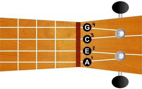 Ukelele Strings Name, Ukulele Strings Names, Ukulele Scales, Chords For Beginners, Uke Chords, Ukulele Tuner, Learning Ukulele, Ukulele Strings, Uke Songs