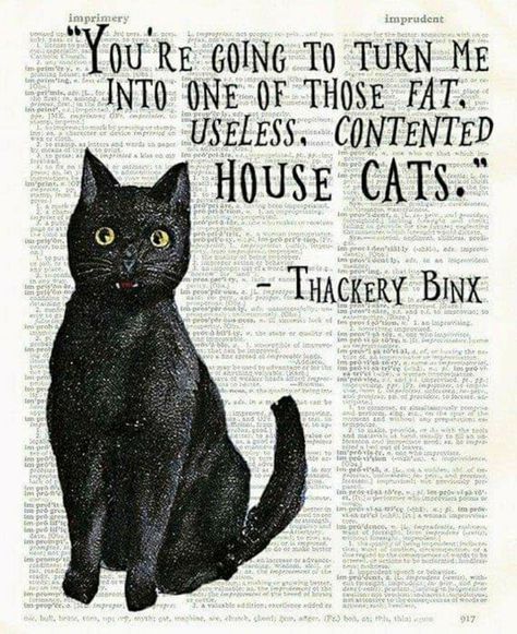 Hocus Pocus Sayings, Hocus Pocus Crafts Diy, Hocus Pocus Decorations Diy, Thackery Binx Hocus Pocus, Witch Cakes, Binx Hocus Pocus, Witches Decor, Hocus Pocus Decor, Lucifer Cat