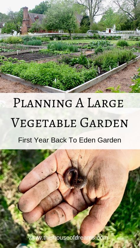 Large Vegetable Garden Design, Market Garden Layout, Large Garden Layout, Large Vegetable Garden Layout, Garden Guilds, Vegan Homestead, Back To Eden Garden, Large Vegetable Garden, Garden Setup