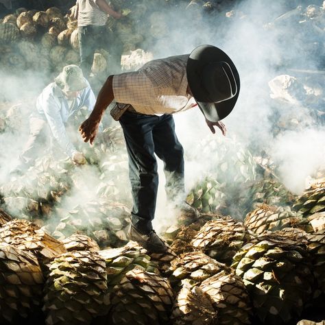 The Mezcal Makers of Oaxaca Oaxaca Art, Puerto Escondido Oaxaca, Tequila Bar, Tacos And Tequila, Mexico Food, Desert Vibes, Mexican Street, Timeless Luxury, Party Photography