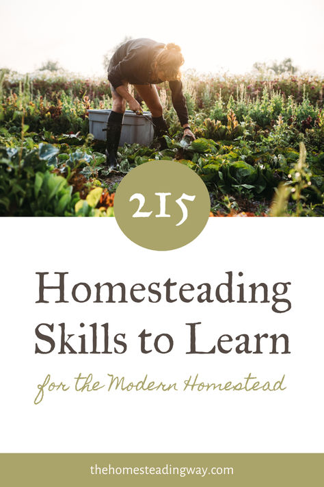 215 Homesteading Skills to Learn for the Modern Homestead - The Homesteading Way Homestead Skills To Learn, Sustainable Farming Homesteads, Basic Homestead Skills, How To Start A Homestead With No Money, Self Sustaining Garden Homestead Survival, Homestead Tips, Gardening Food, Modern Homestead, Homesteading Diy