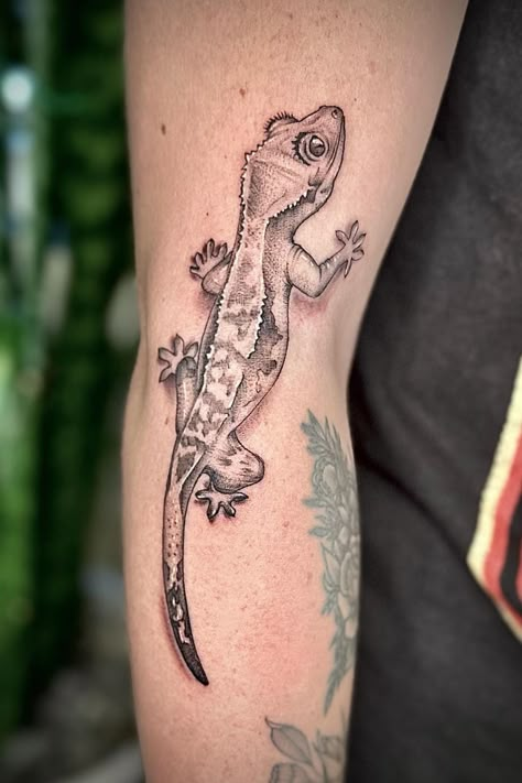 Want to show your love for crested geckos in a permanent way? A tattoo is the perfect way to express your passion. Check out the article for amazing ideas. Crested Gecko Tattoo, Reptile Tattoo Ideas, Gecko Tattoo Design, Gecko Tattoo Ideas, Reptile Tattoo, Gecko Tattoo, Fat Tailed Gecko, Lizard Tattoo, Blue Tongue Skink