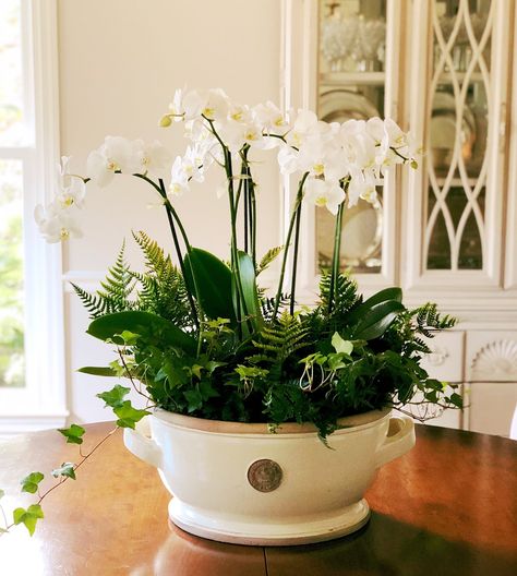 How to Easily Create a Living Centerpiece — Anne Anderson Home Plants As Centerpieces, Anne Anderson, Plant Centerpieces, Orchid Flower Arrangements, Plant Styling, Garden Centerpiece, Orchid Centerpieces, Decorative Plants, Orchid Planters