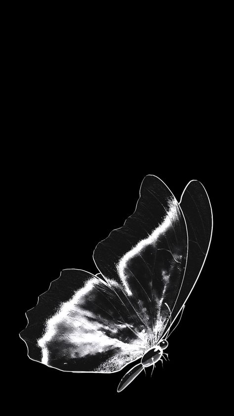 Black Baterflay, Butterfly Aesthetic Black, Butterfly Black Background, Tutorial Masak, Cool Blue Wallpaper, Black Hd Wallpaper Iphone, Steam Artwork, Wallpaper Butterfly, Grey Wallpaper Iphone