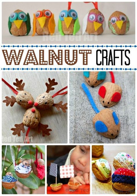 We love traditional Walnut DIYs. Walnuts are quirky, wonderfully textured and there are so many thing you can make! Crafting with Walnuts is fun and always reminds me of Autumn and Christmas. Check out these easy walnut crafts for kids! Walnut Crafts, Walnut Shell Crafts, Nature Crafts Kids, Fox Ornaments, Nature Craft, Pine Cone Crafts, Crafts And Activities For Kids, Nature Play, Craft Projects For Kids