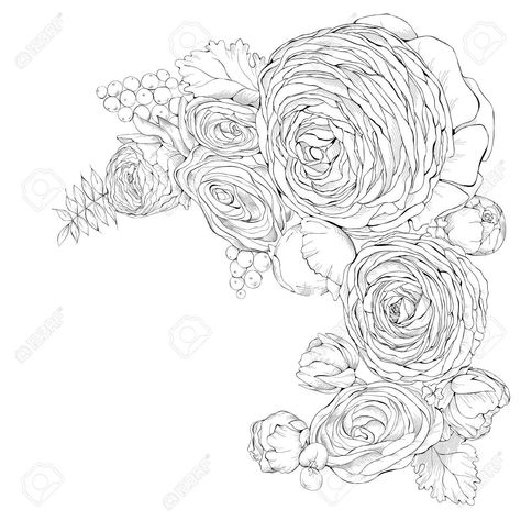 Ranunculus Drawing, Ranunculus Tattoo, Garden Tattoos, Flower Drawings, Flower Outline, Logo Idea, Flower Sketches, Painted Clothes, Art Flowers