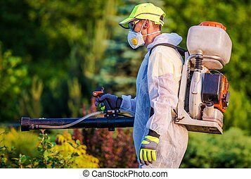 Raccoon Repellent, Fumigation Services, Ant Infestation, Medical Tech, Best Pest Control, Rodent Control, Exterior Garden, Mosquito Control, Termite Control