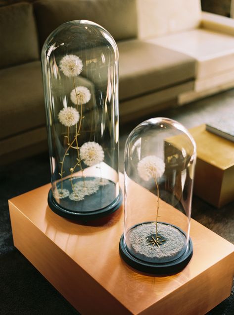 Glass Dome Decor Ideas, Glass Cloche Decor, Apothecary Decor, Glass Dome Display, Cloche Decor, نباتات منزلية, Dried And Pressed Flowers, Glass Cloche, The Bell Jar