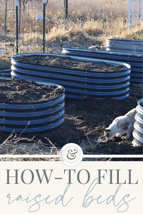 Oval Raised Garden Bed, Fill Garden Bed, Raised Garden Beds Filling, Above Ground Planters Raised Beds, Raised Bed Filler, How To Fill Raised Garden Beds, Filling Raised Garden Beds Cheap, Filling Raised Garden Beds, How To Fill A Raised Garden Bed