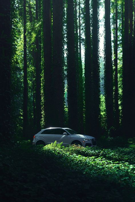 Audi Q3 in a Redwood Forest. Photographed for Audi USA social media channels. Car Nature Photography, Road Through Forest, Car In Nature, Car In Forest, Moody Trees, Road In Forest, Discovery Car, Car Nature, Car Commercial