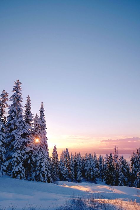 Mountains Snow, Mountain Snow, Lynn Canyon, Grouse Mountain, Winter Background, Winter Nature, Winter Photo, Winter Wallpaper, Winter Scenery