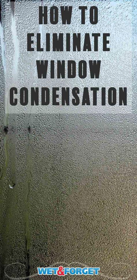 Indoor window condensation can cause mold or mildew inside your home and damage surfaces around your window. Learn how to eliminate window condensation with our quick guide! How To Get Rid Of Mold On Window Sills, Diy Interior Storm Windows, Mold On Window Sills, Condensation On Windows, Molding Around Windows, Mobile Home Windows, Wood Window Sill, Window Condensation, Single Pane Windows