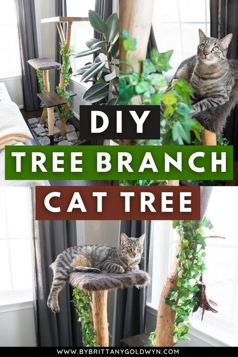 Our DIY tree branch cat tree is one of my favorite projects. Here's an update on this project two years later! It's still holding up great. Diy Cat Tree Real Branches, Branch Cat Tree, Diy Tree Branch, Diy Cat Tower, Pets Stuff, Lack Table, Ikea Lack Table, Diy Cat Tree, Cat Towers