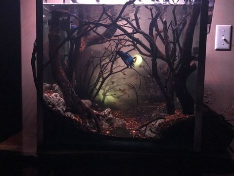 Witchy Fish Tank Ideas, Black And White Fish Tank Ideas, Black Water Fish Tanks, Dark Academia Fish Tank, Gothic Fish Tank, Goth Fish Tank, Black Sand Fish Tank, Creepy Aquarium, Fantasy Fish Tank