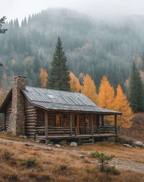 1800s Log Cabin, Witch Cabin In The Woods, Fantasy Moodboard, Alaskan Cabin, Wyoming Cabin, Madness Poster, Witch Cabin, Wood Cabins, Old Log Cabin