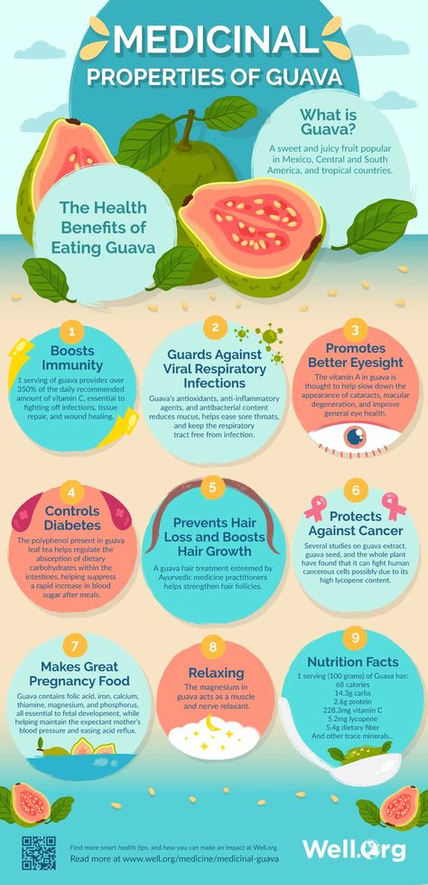 THE MEDICINAL PROPERTIES OF GUAVA AND ITS LEAVES | Aside from its delicious taste, #guava also offers amazing health benefits! Let’s look at all the properties locked inside this nutritious fruit, and help you take your #health to the next level. #healthyfruits Guava Leaves Benefits Health, Guava Tea Benefits, Guava Juice Benefits, Benefits Of Guava Fruit, Guava Leaf Tea Benefits, Guanabana Benefits, Guava Perfume, Guava Leaves Benefits, Guava Health Benefits