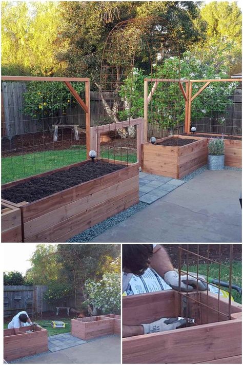 Build A Trellis, Building A Trellis, Building Raised Garden Beds, Easy Designs, Building A Raised Garden, Veg Garden, Have Inspiration, Vegetable Garden Design, Garden Bed