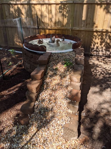 Chicken Pond Ideas, Ducks House Ideas, Rustic Pond Ideas, Home Duck Pond, Garden Duck Pond, How To Make A Small Pond, Mini Duck Pond, Mermaid Garden Ideas, Above Ground Duck Pond