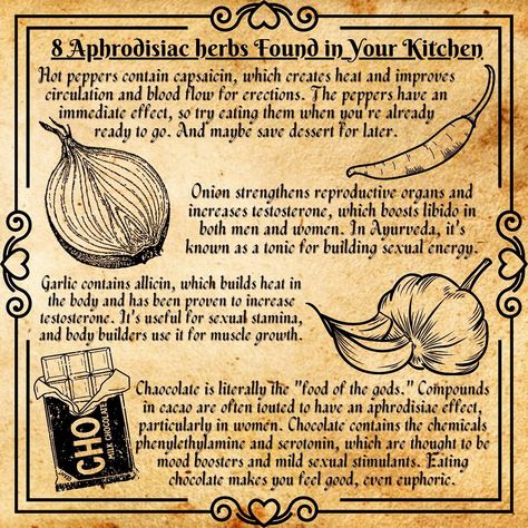 Witches Cookbook, Witchcraft Resources, Honey Jar Spell, Ayurveda Medicine, Pagan Magic, Old Book Crafts, Chaos Magic, Magic Spell Book, Grimoire Book