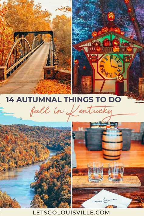 14 Autumnal Things to Do during the Fall in Kentucky - Let's Go, Louisville! Fall In Louisville Ky, Fall In Kentucky, Kentucky In The Fall, What To Do In Kentucky, Kentucky Things To Do, Places To Visit In Kentucky, Things To Do In Kentucky, Apple Stack Cake, Stack Cake